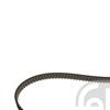 Febi Timing Cam Belt 49436