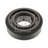 Febi Bearing 49748