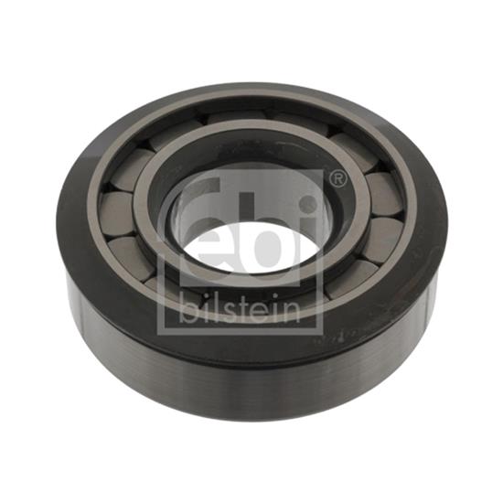 Febi Bearing 49748