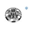 MEYLE Wheel Hub 014 752 0002