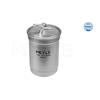 MEYLE Fuel Filter 100 127 0006