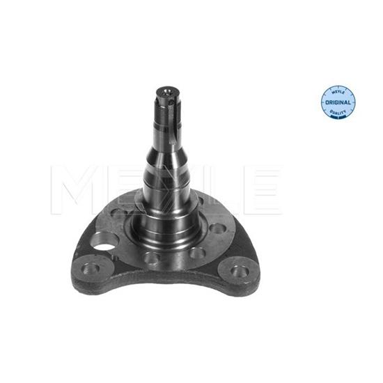 MEYLE Wheel Suspension Stub Axle 100 501 0011