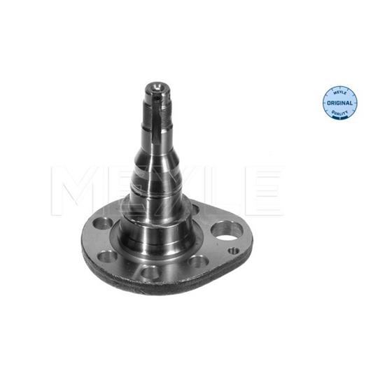 MEYLE Wheel Suspension Stub Axle 100 501 0037