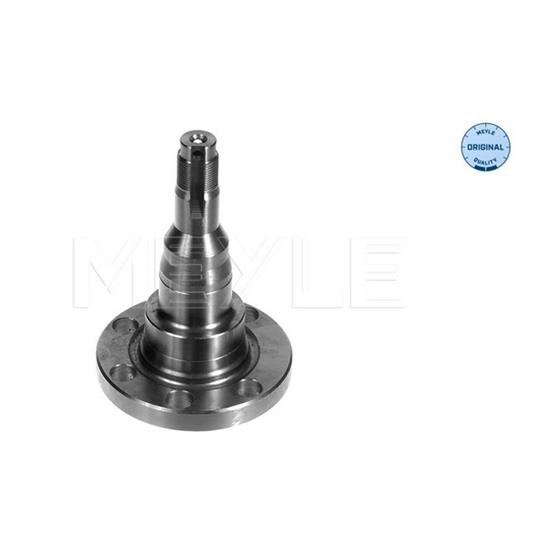 MEYLE Wheel Suspension Stub Axle 100 501 1010