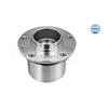 MEYLE Wheel Hub 11-14 752 0009