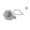 MEYLE Water Pump 113 220 0006