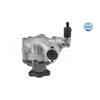 MEYLE Steering Hydraulic Pump 114 631 0056