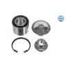 MEYLE Wheel Bearing Kit 16-14 650 0001