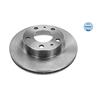 2x MEYLE Brake Disc 215 521 0003