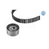 MEYLE Timing Cam Belt Kit 251 049 0045