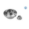 MEYLE Wheel Hub 300 312 1102/S