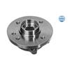 MEYLE Wheel Hub 300 312 1104