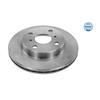 2x MEYLE Brake Disc 30-15 521 0020