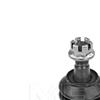 MEYLE Suspension Ball Joint 30-16 010 0020