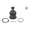 MEYLE Suspension Ball Joint 30-16 010 0021