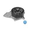 MEYLE Water Pump 31-13 220 0015