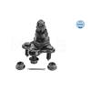 MEYLE Suspension Ball Joint 31-16 010 0007