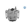 MEYLE Steering Hydraulic Pump 314 631 0019