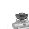 MEYLE Steering Hydraulic Pump 314 631 0042