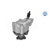 MEYLE Steering Hydraulic Pump 314 631 0045