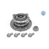 MEYLE Wheel Hub 314 652 0011