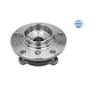 MEYLE Wheel Hub 314 652 0011