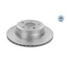 2x MEYLE Brake Disc 315 523 0024/PD