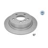 2x MEYLE Brake Disc 315 523 0063PD