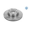 2x MEYLE Brake Disc 315 523 3059