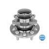 MEYLE Wheel Hub 37-14 752 0010