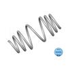 2x MEYLE Road Coil Spring 614 739 0016