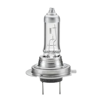 HELLA Spotlight Bulb 8GH 007 157-201