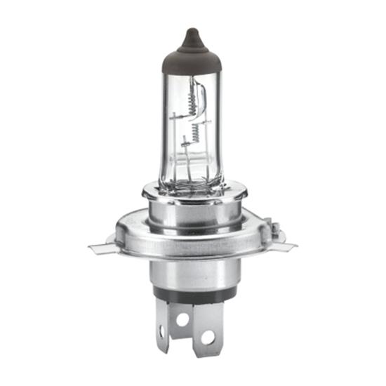 HELLA Spotlight Bulb 8GJ 002 525-281