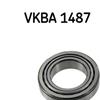 SKF Wheel Bearing Kit VKBA 1487