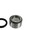 SKF Wheel Bearing Kit VKBA 3219