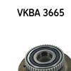 SKF Wheel Bearing Kit VKBA 3665