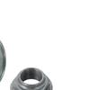 SKF Wheel Bearing Kit VKBA 3680