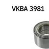 SKF Wheel Bearing Kit VKBA 3981