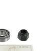 SKF Wheel Bearing Kit VKBA 502