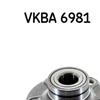 SKF Wheel Bearing Kit VKBA 6981