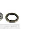 SKF Wheel Bearing Kit VKBA 755