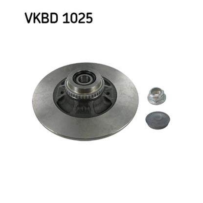 SKF Brake Disc VKBD 1025