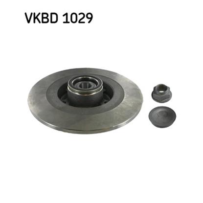 SKF Brake Disc VKBD 1029