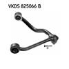 SKF Wishbone Track Control Arm VKDS 825066 B