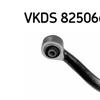 SKF Wishbone Track Control Arm VKDS 825066 B