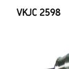 SKF Driveshaft VKJC 2598