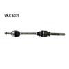 SKF Driveshaft VKJC 6075