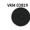 SKF Alternator Freewheel Clutch Pulley VKM 03819