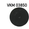 SKF Alternator Freewheel Clutch Pulley VKM 03850