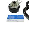 SKF Water Pump And Timing Belt Set VKMC 01110